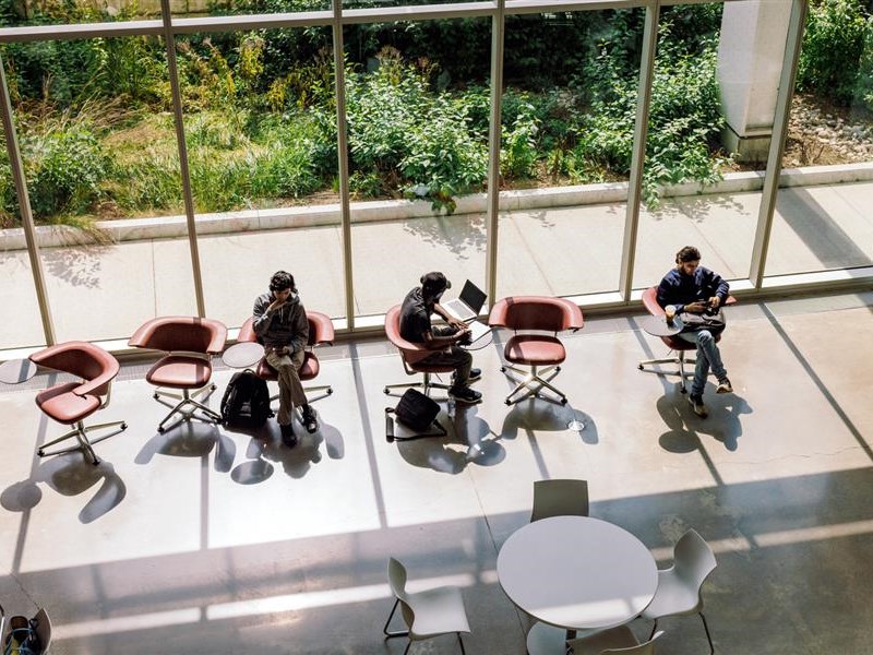Surviving Exam Season: A Student's Guide to Success