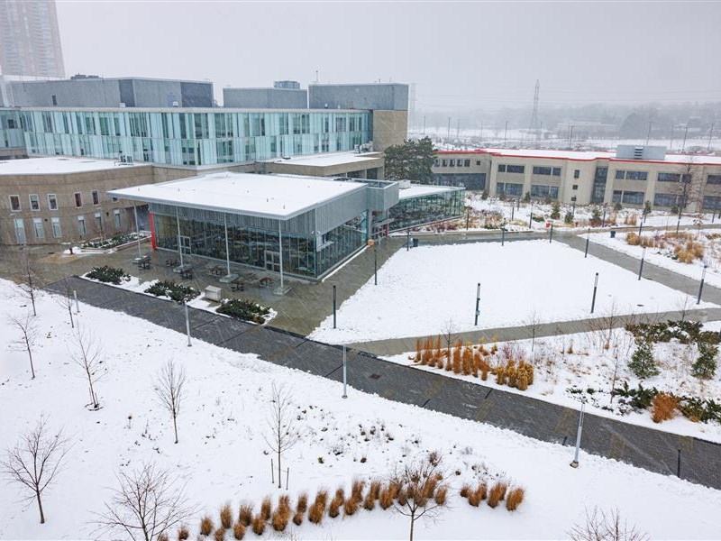 Seasonal snow fencing at Newnham Campus parking lots to begin Nov. 14