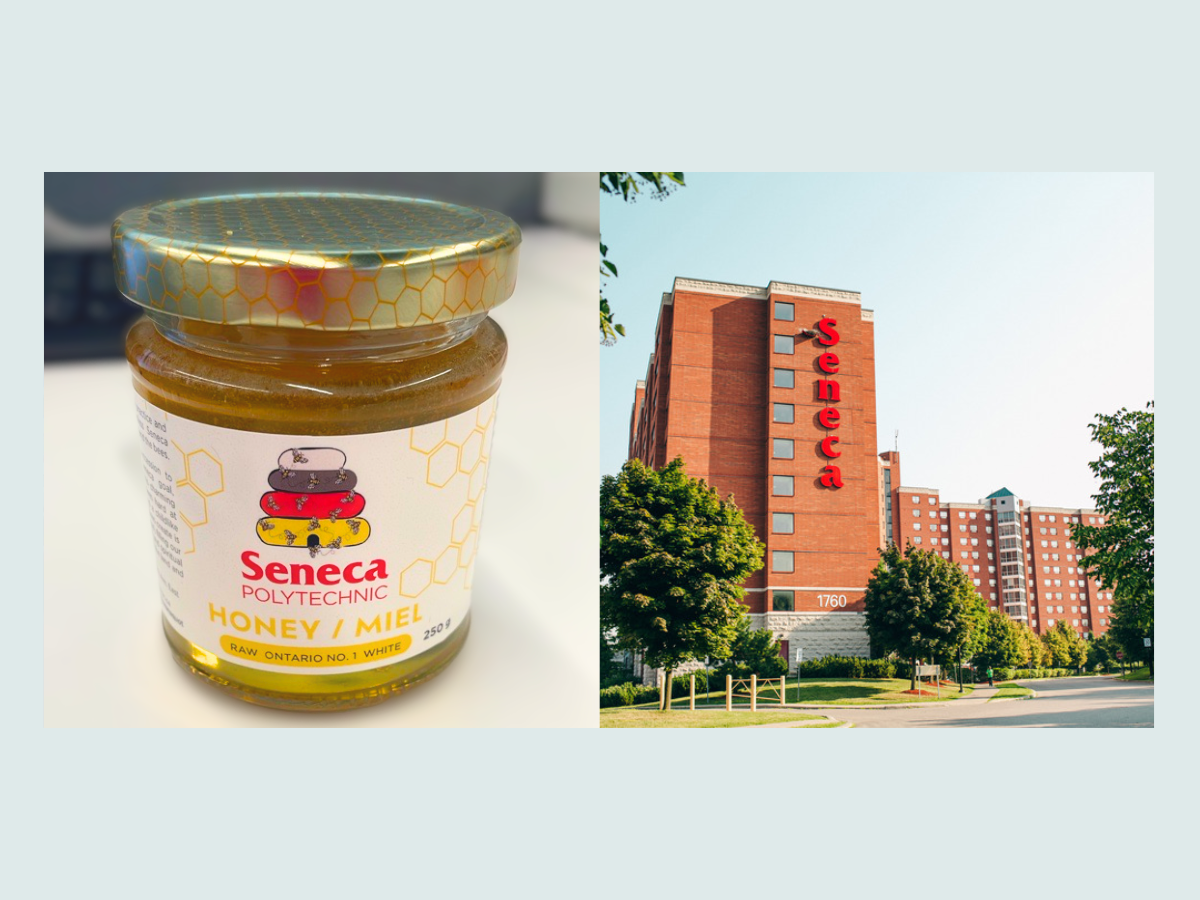 Sweeten up these bitterly cold wintry days with Seneca Honey
