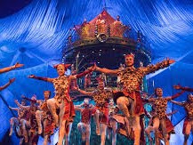 Theatre Series: Cirque du Soleil - OVO