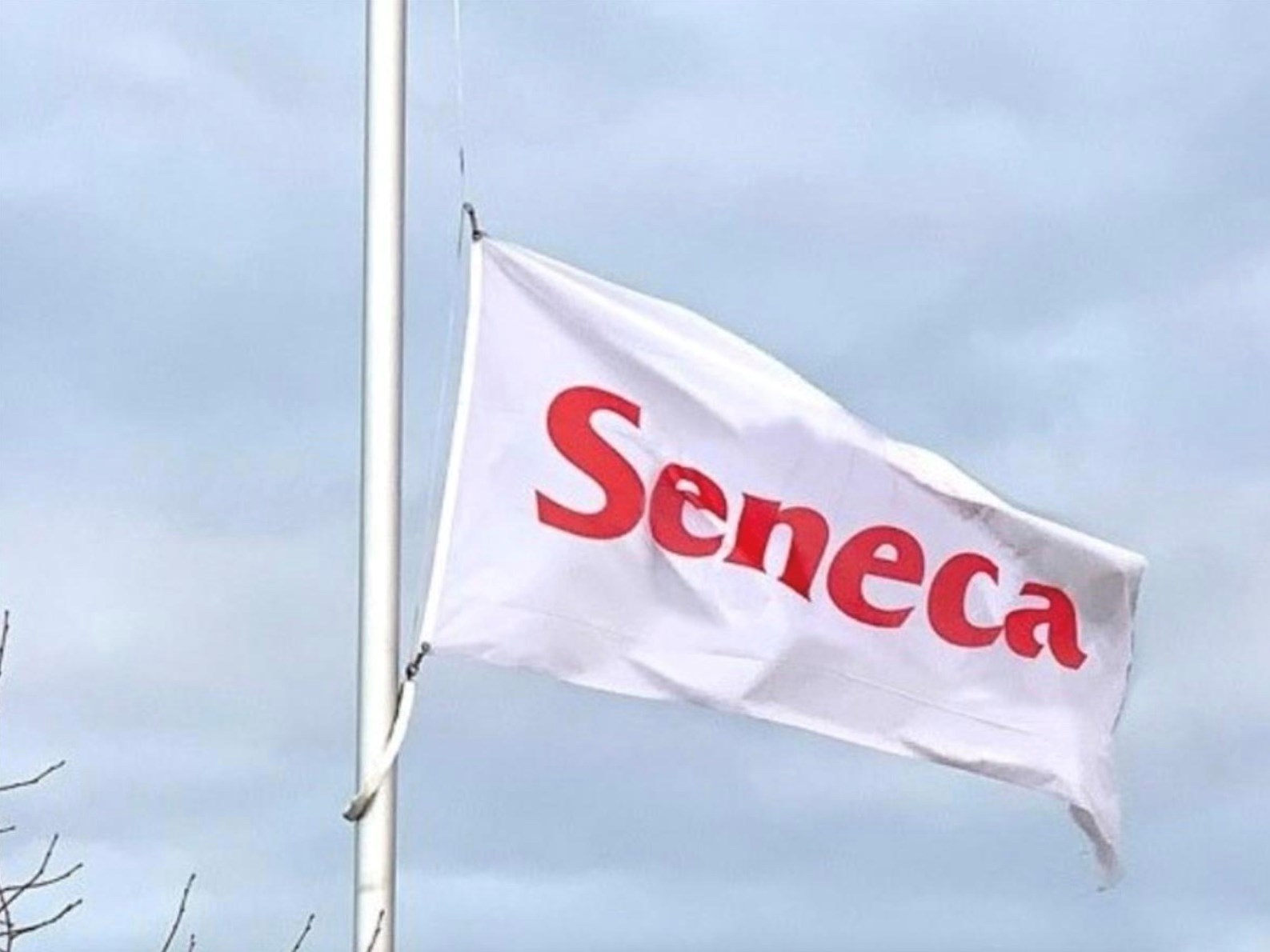 In memoriam