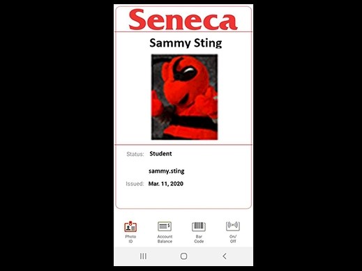 Field Placement ID Cards