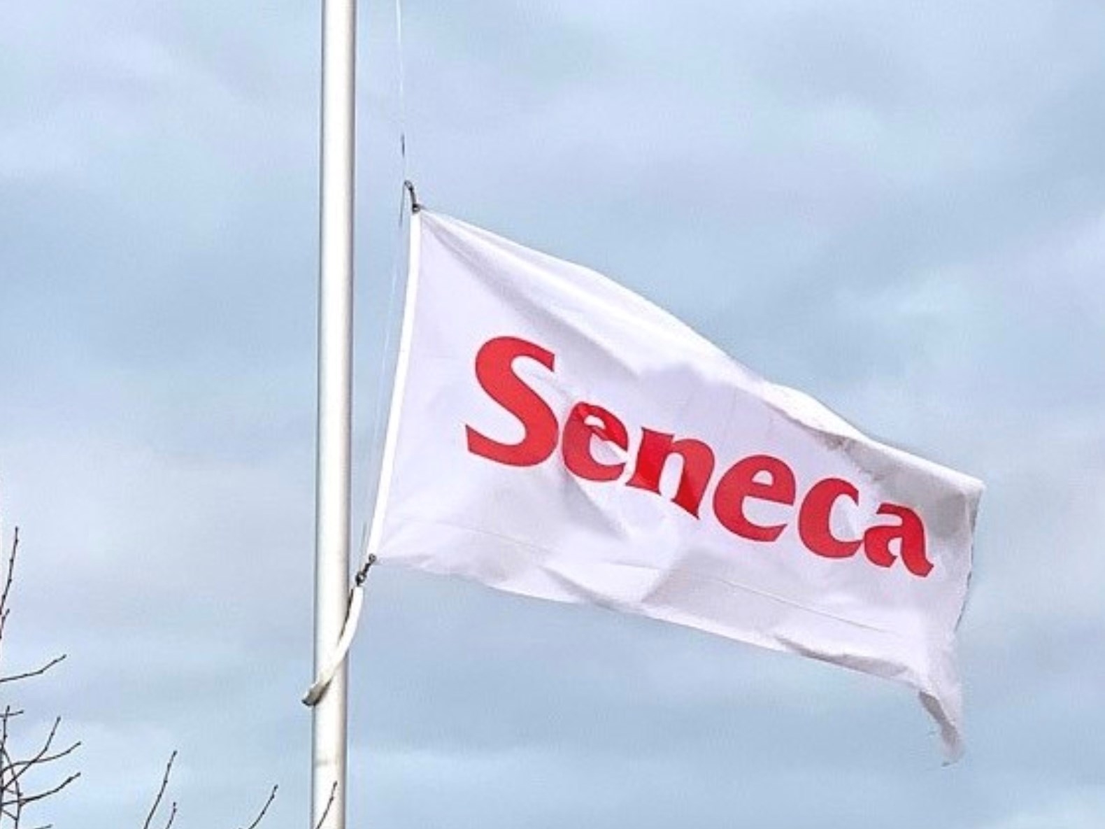 In memoriam - Tumbler Ridge, B.C.