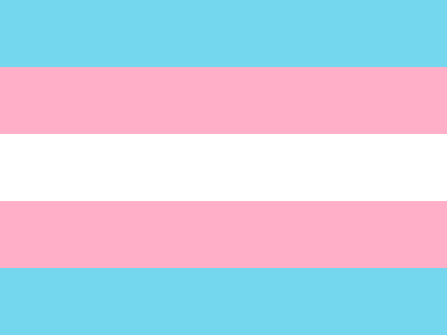 Seneca Polytechnic commemorates Transgender Awareness Week 2024