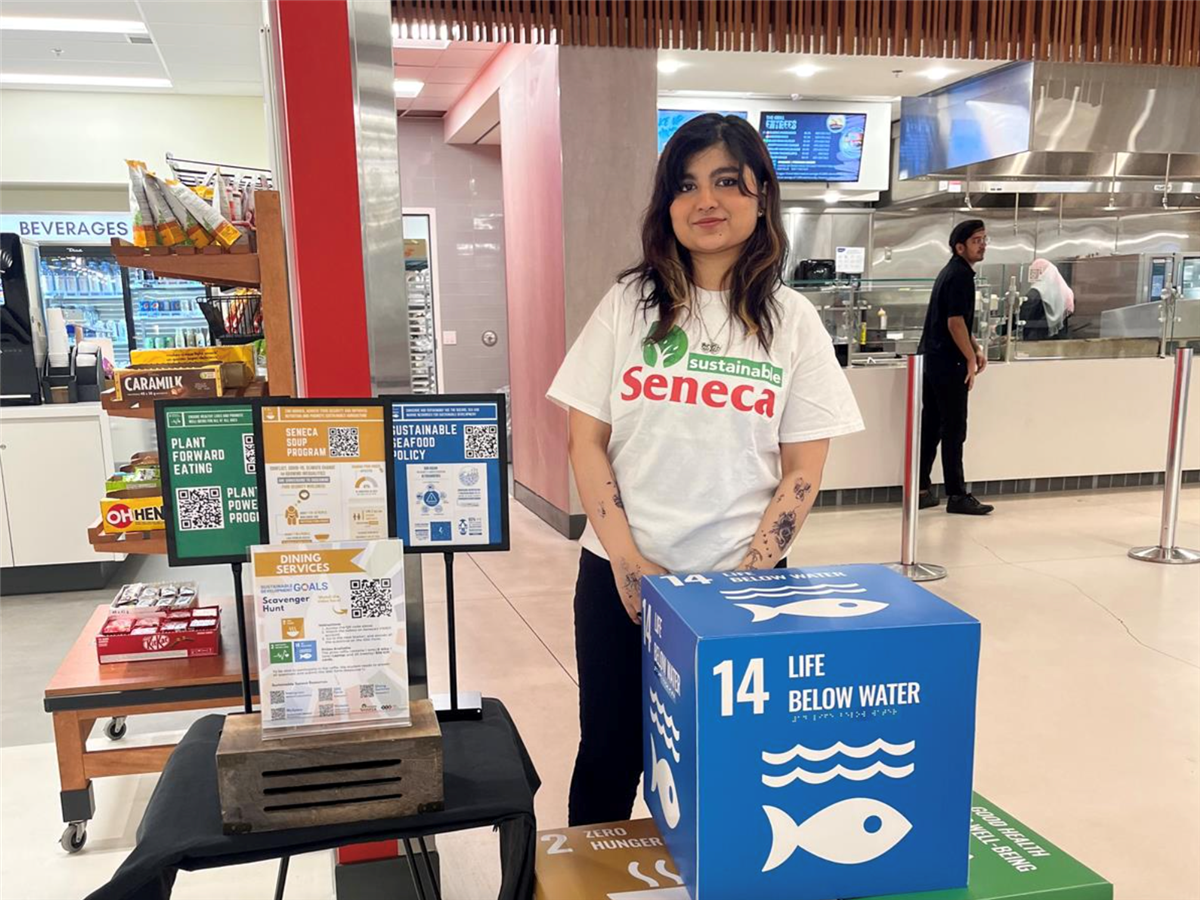 Participate in the Sustainable Development Goals Scavenger Hunt