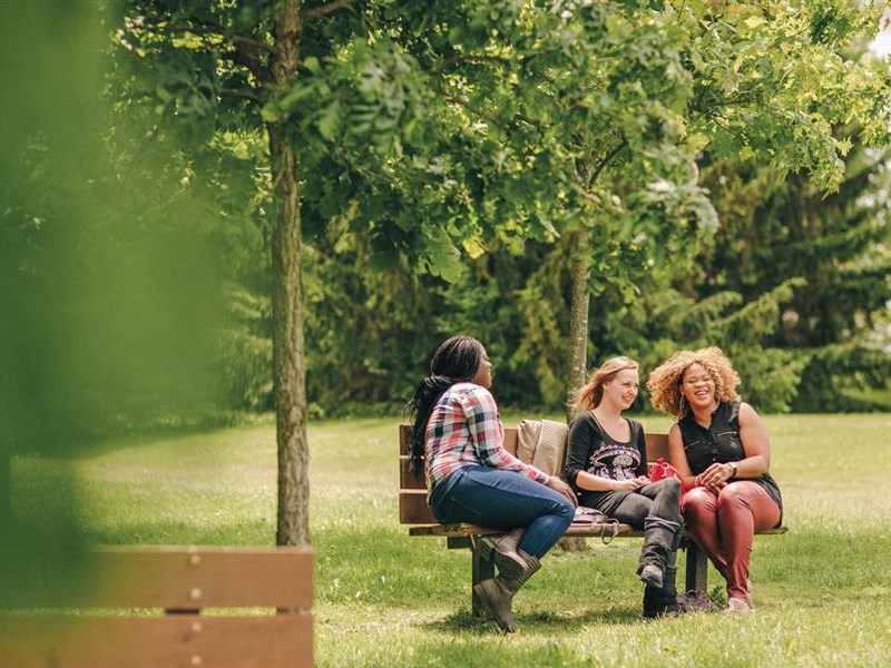 CS: Well-being Specialists