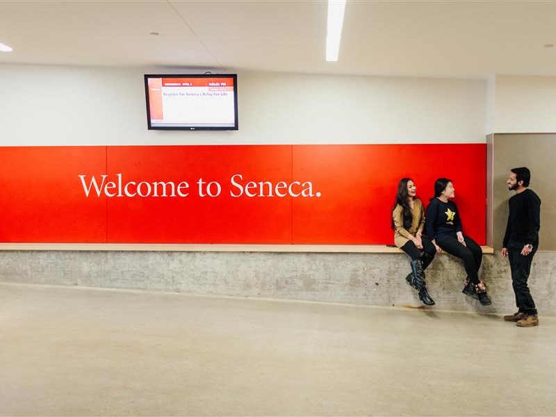 Scholarships, Awards, and Bursaries!