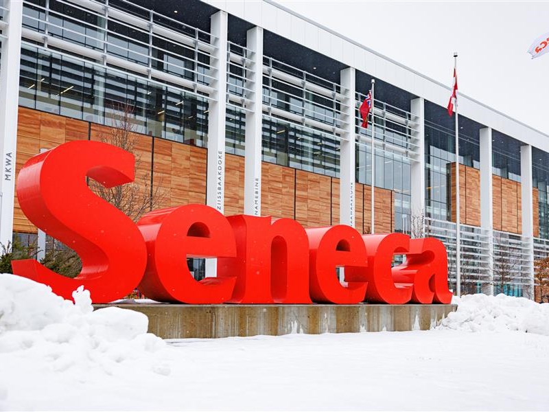 Access Supports and Services Before the Holiday Break closure