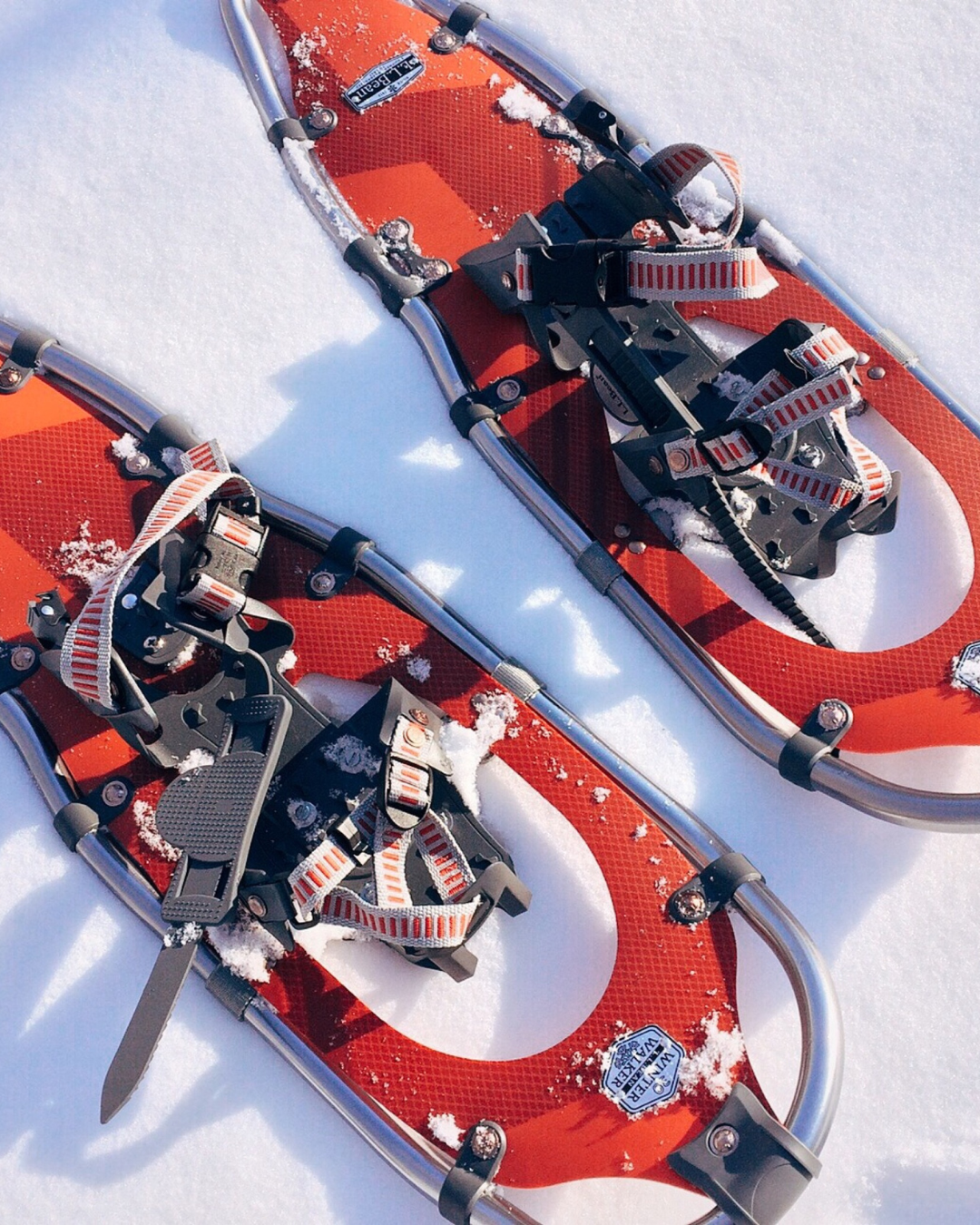 Snowshoeing Walk at King Campus