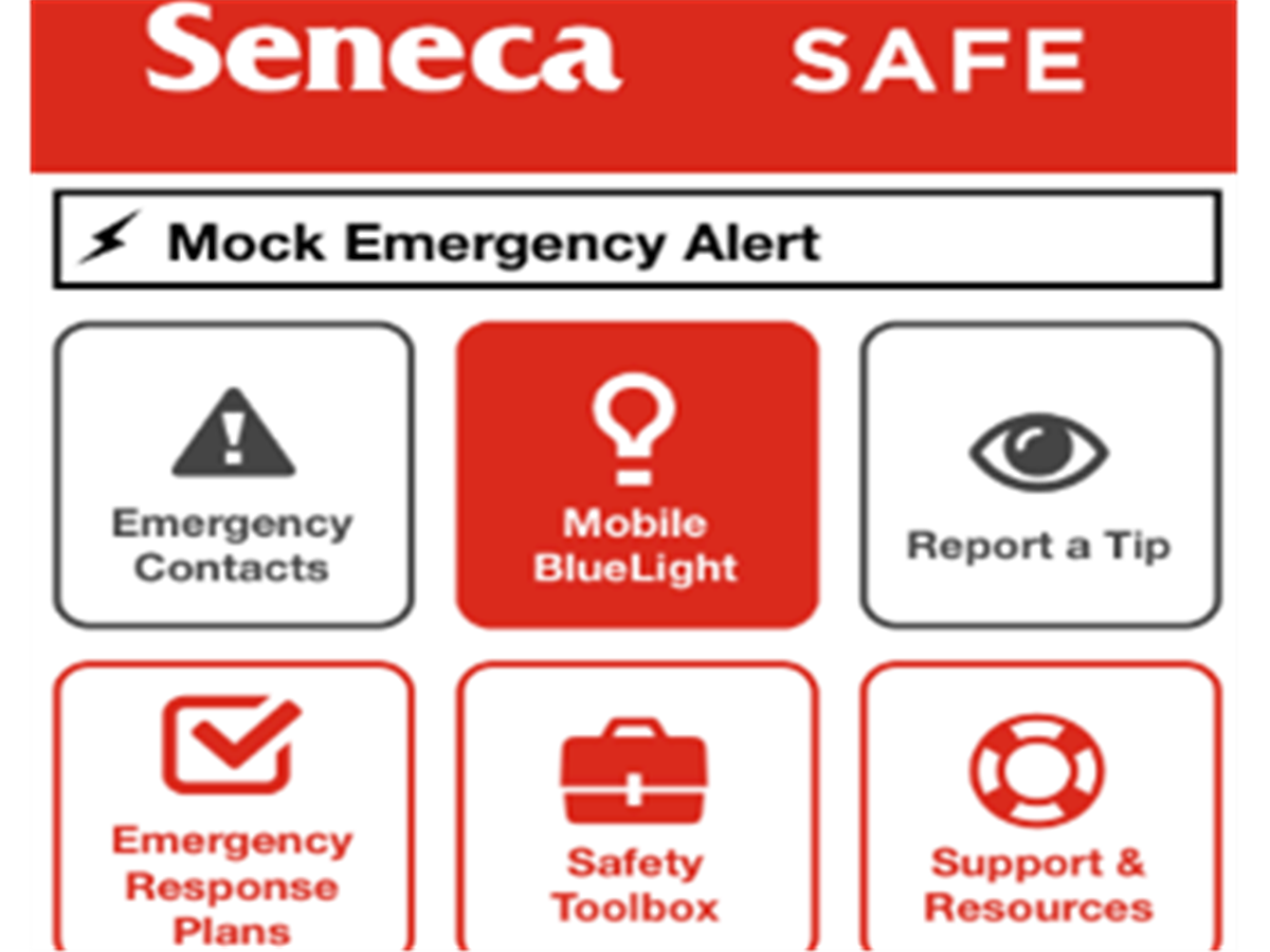 Get to know the Seneca Safe App