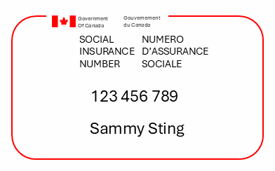 SIN (Social Insurance Number) Clinic @York University