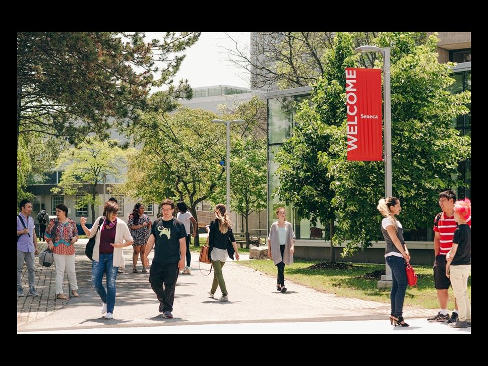 The Summer Term is Almost Over!