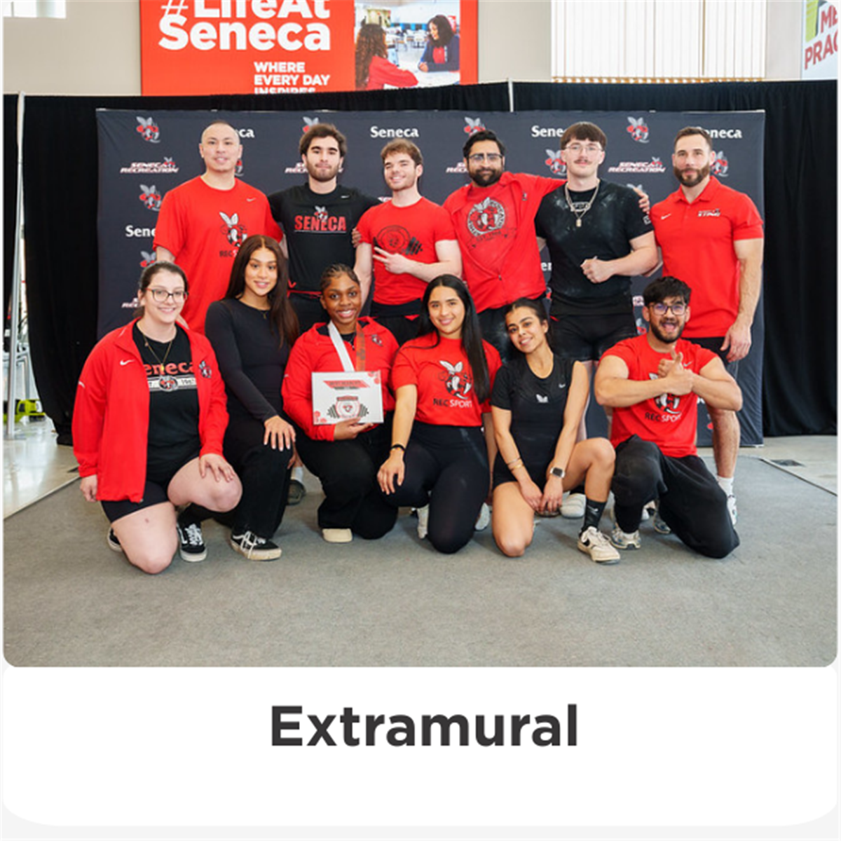 Extramural
