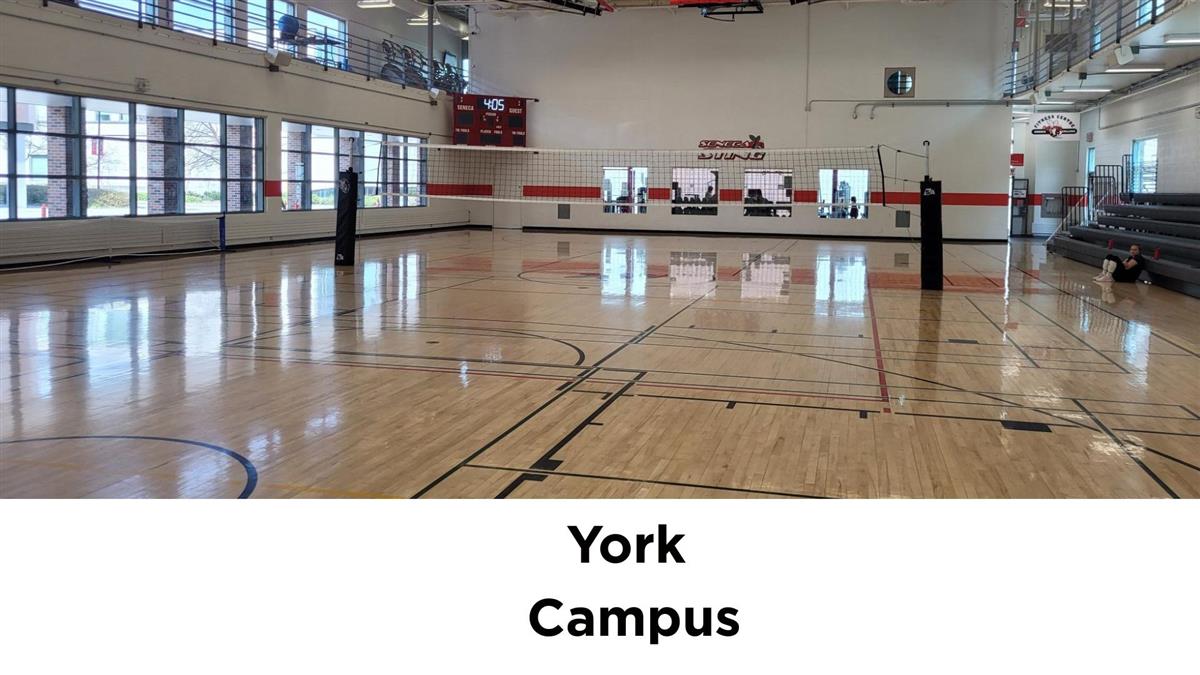 york campus