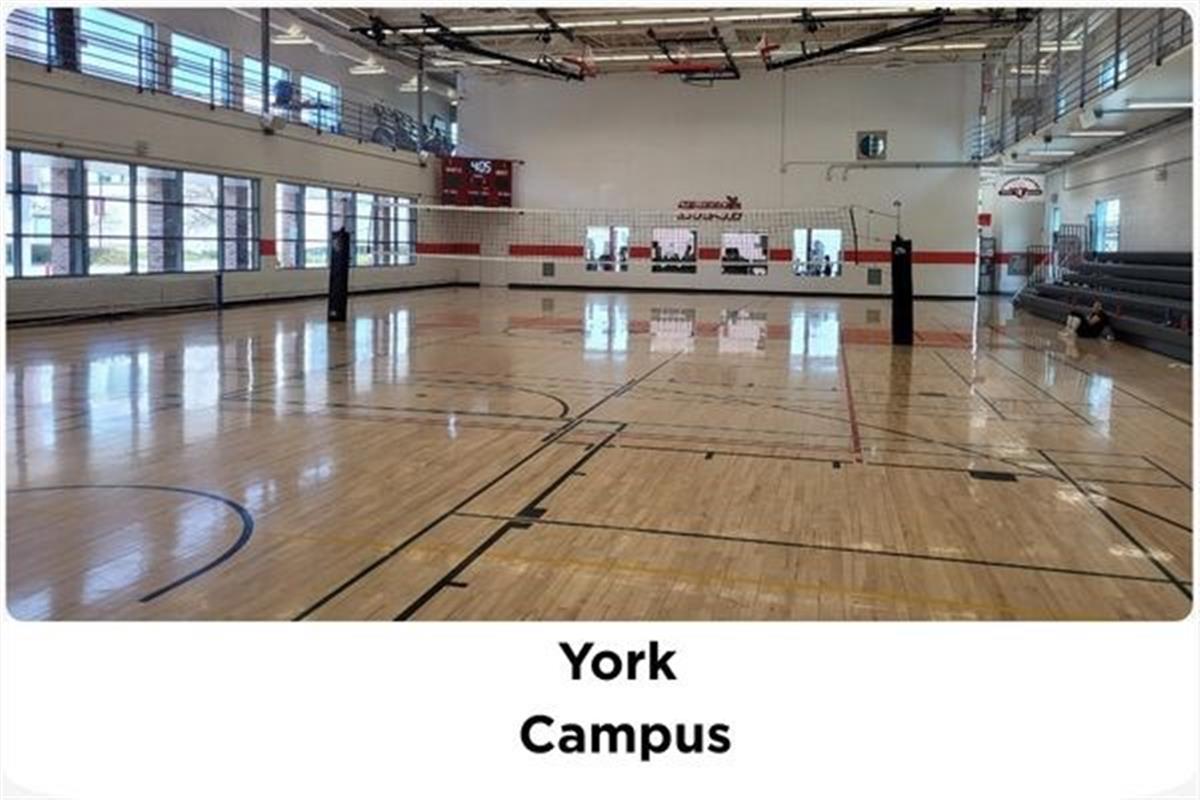 york campus