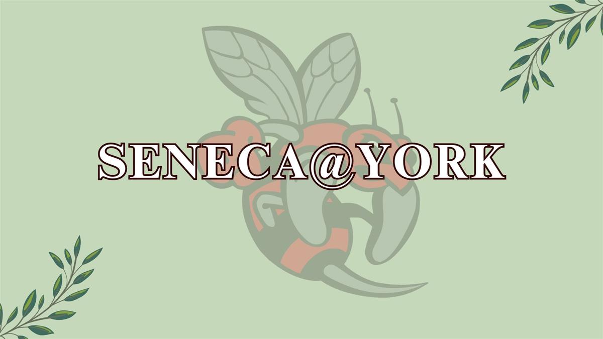 seneca@york