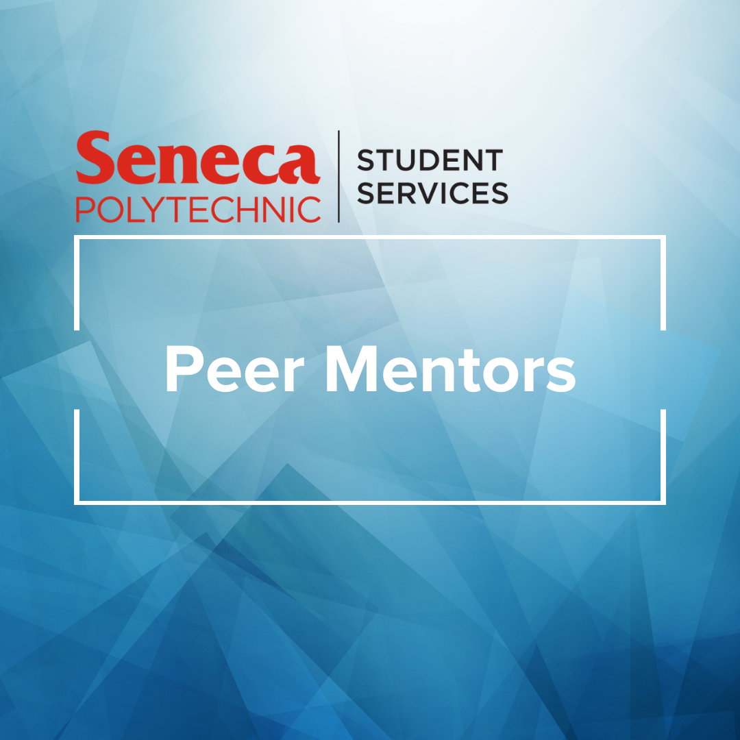 Peer Mentor