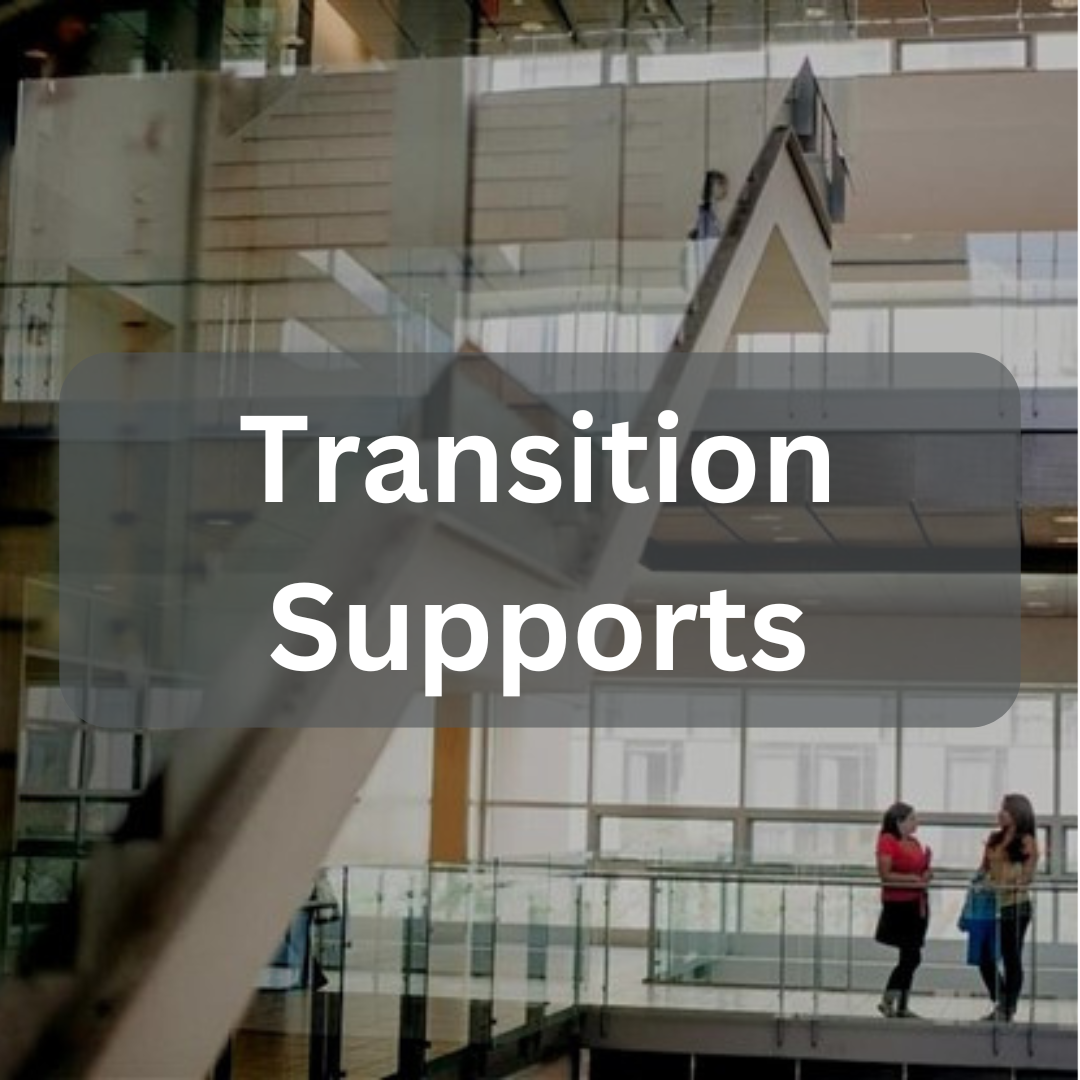 Transition Supports