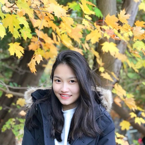 Phuong Anh Pham picture