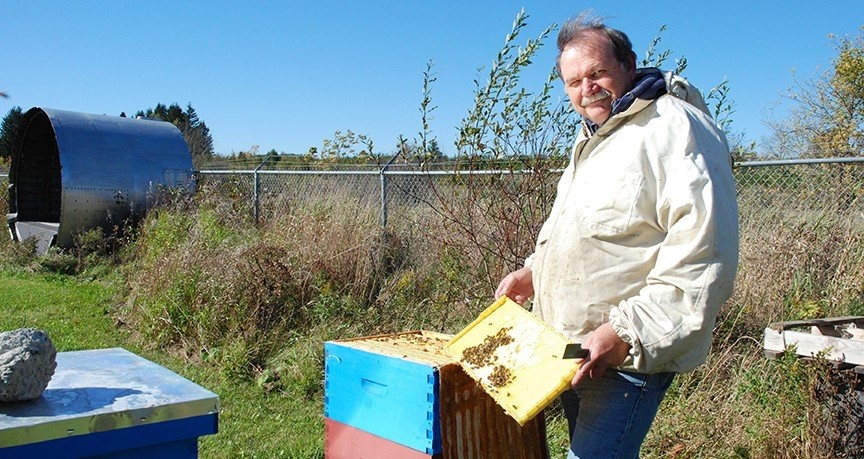 Don with Bees