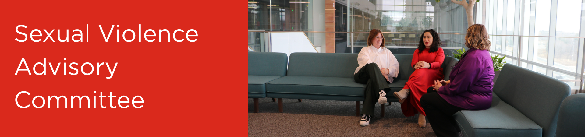 Sexual Violence Advisory Committee