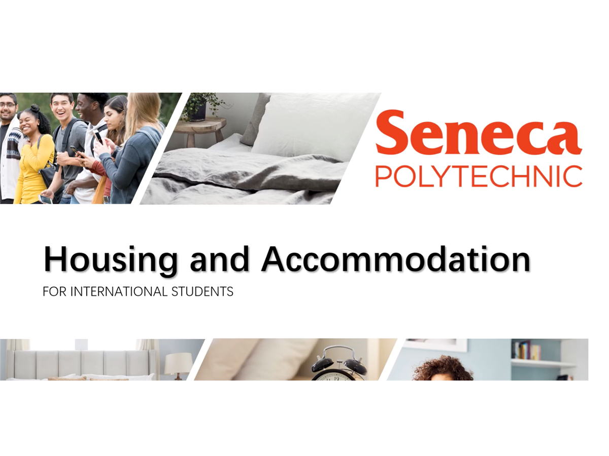 Housing &amp; Accommodation Presentation: Summer 2024