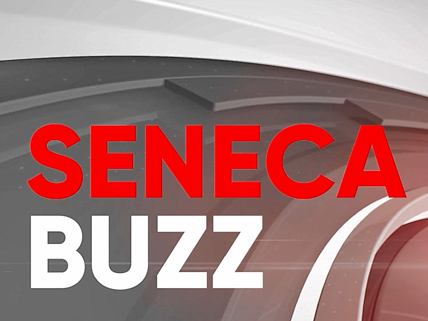 The Seneca Buzz