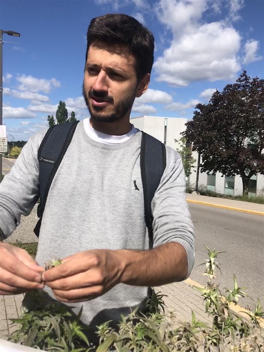 Caio Pschoal,Environmental Landscape Management graduate, collecting seeds for the WWF Seed Orchard project  