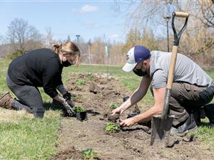 WWF Forest garden project at King Campus led by Daniel Mack, Environmental Landscape Management student