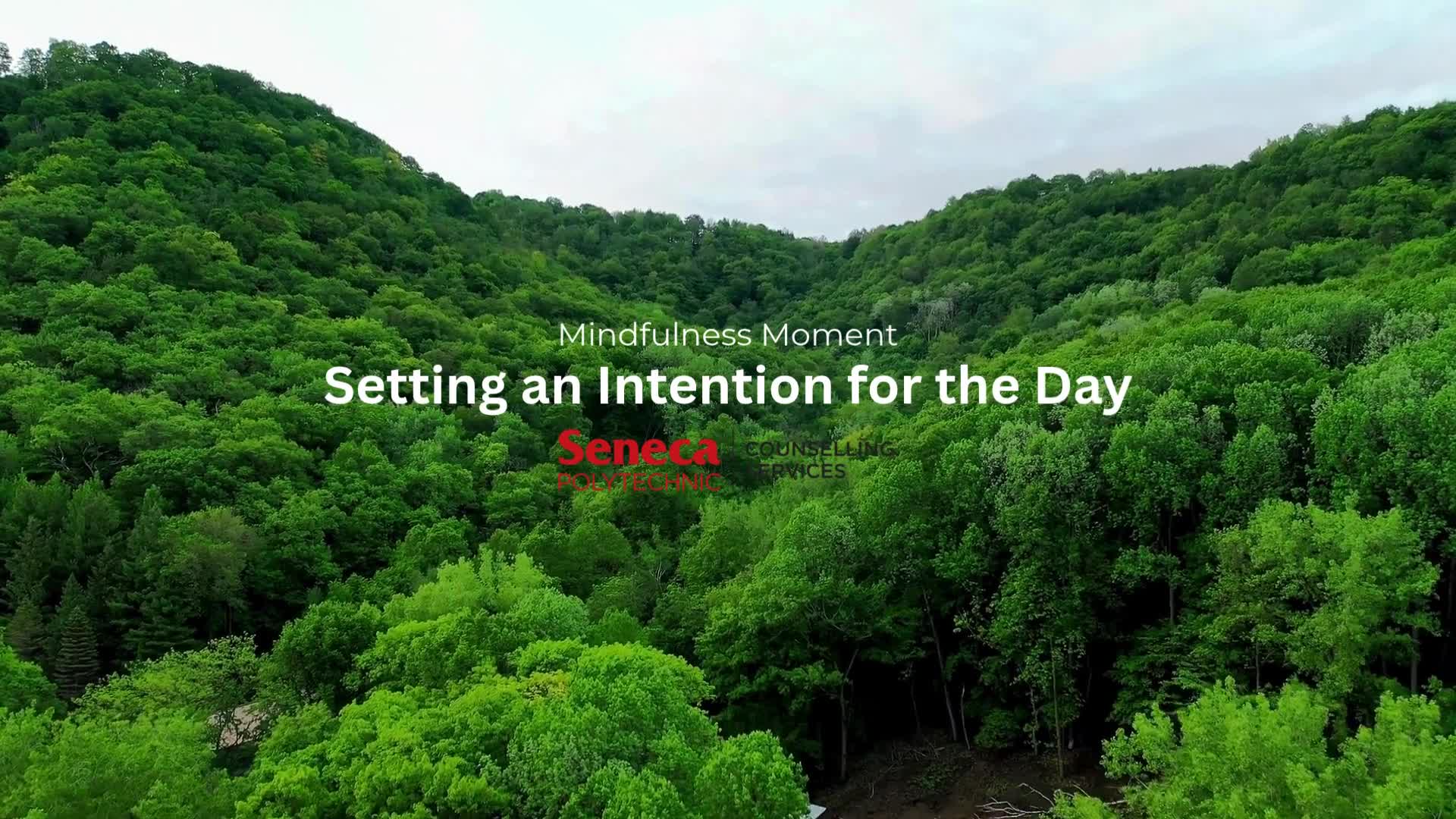 Setting Intentions for the Day