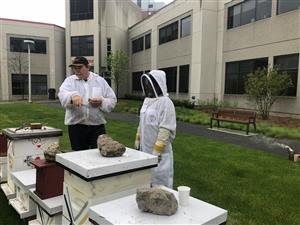 Don Forster and Alexis Villarama checking the hives