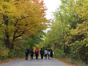 Fall Hike at King Campus